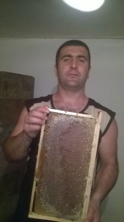 ���������� ������ ��������, ���� ������� ������, 42 ����, ������������ ��� ������, ����� � ���������