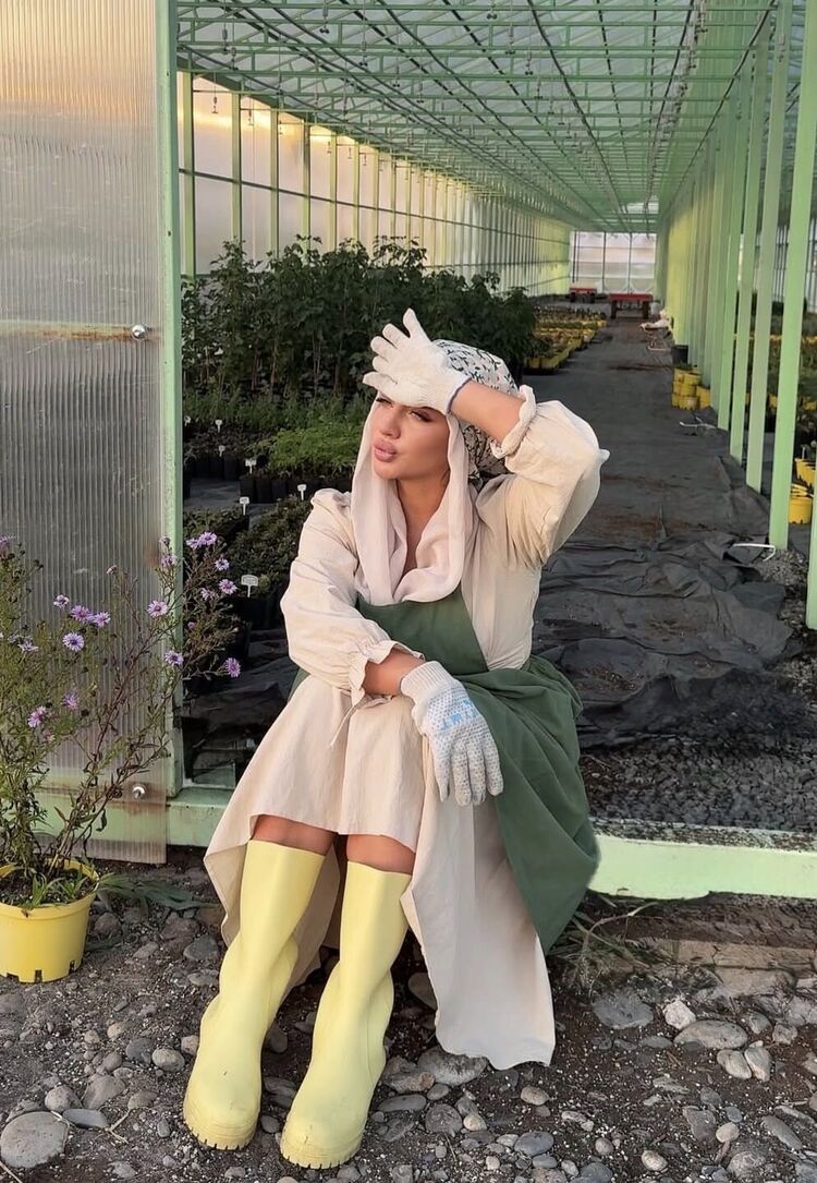 ���������� ���������, ���� ������� �������, 38 ���, ������������ ��� ���������