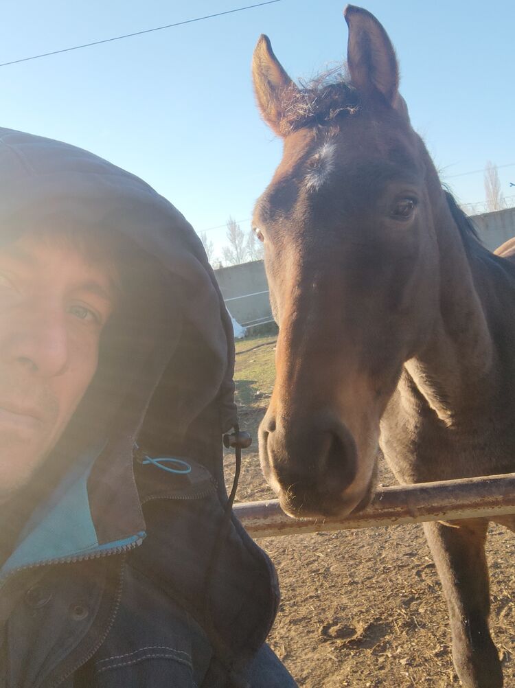 ���� 24741417 ������� �������, 41 ���, ���� ���������� � ��������