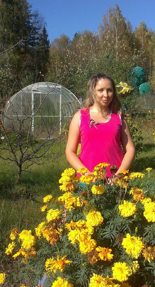  ,   , 41 ,     , c 