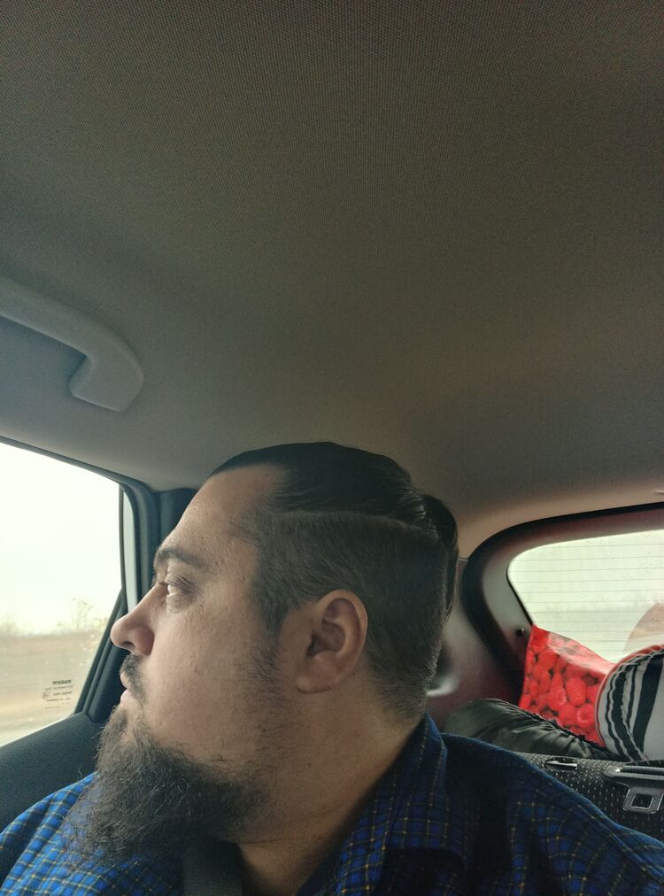  --,   , 38 ,   ,   