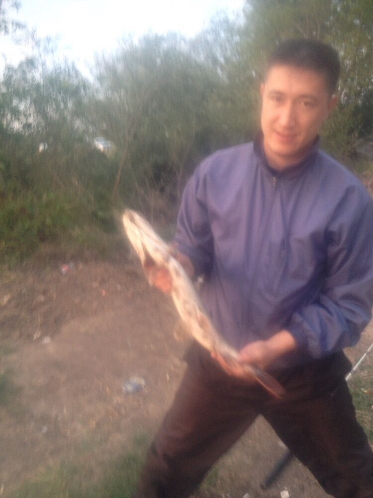 ���������� ������, ���� ������� �����, 48 ���, ������������ ��� ������