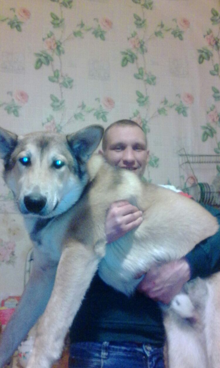  39261477  Ivan, 38 ,    