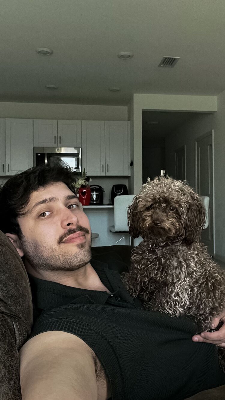 ���� 55708737 ������� �����, 35 ���, ���� ���������� � �������������