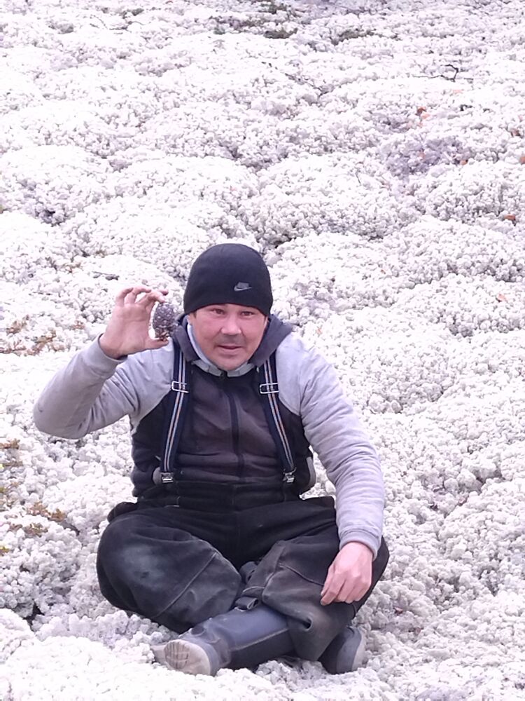 ���� 40490427 ������� �������, 46 ���, ���� ���������� � ���