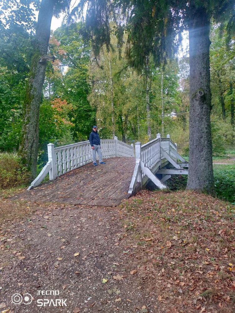 ���������� �����, ���� ������� ������, 41 ���, ������������ ��� ������, ����� � ���������