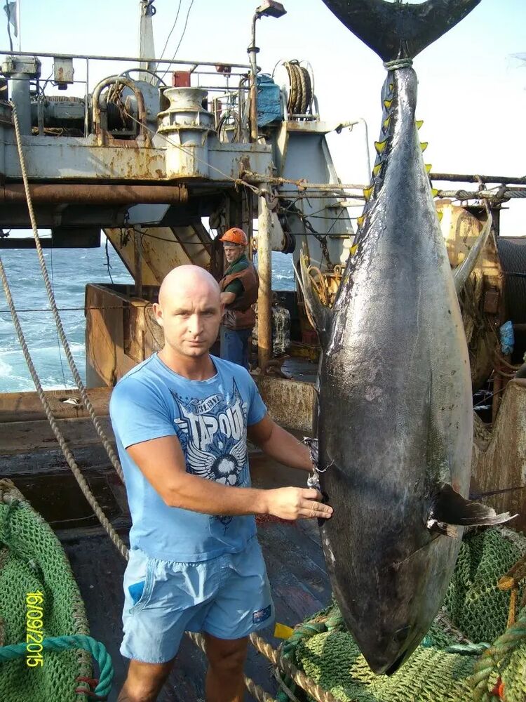 ���������� �����������, ���� ������� ���, 38 ���, ������������ ��� ������, ����� � ���������