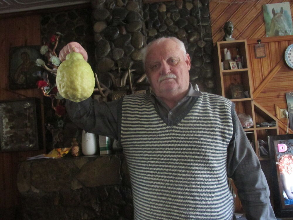  19206427  Vitek, 76 ,    