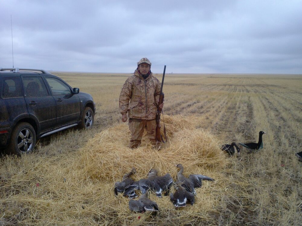 ���� 6149247 ������� ������, 36 ���, ���� ���������� � ������