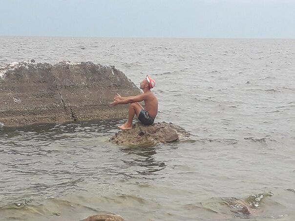 ���� 36194677 ������� ���������, 36 ���, ���� ���������� � �����-����������