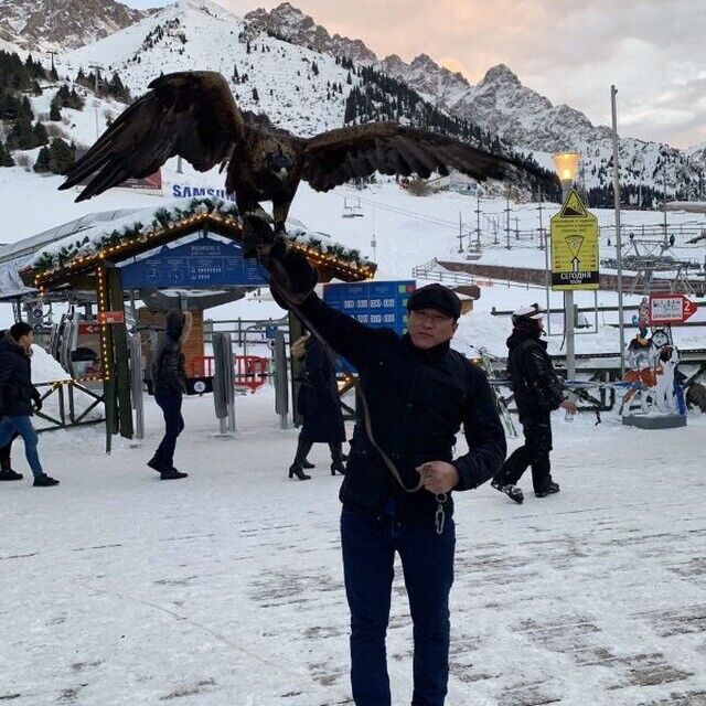 ���� 20636137 ������� ����, 35 ���, ���� ���������� � ��������