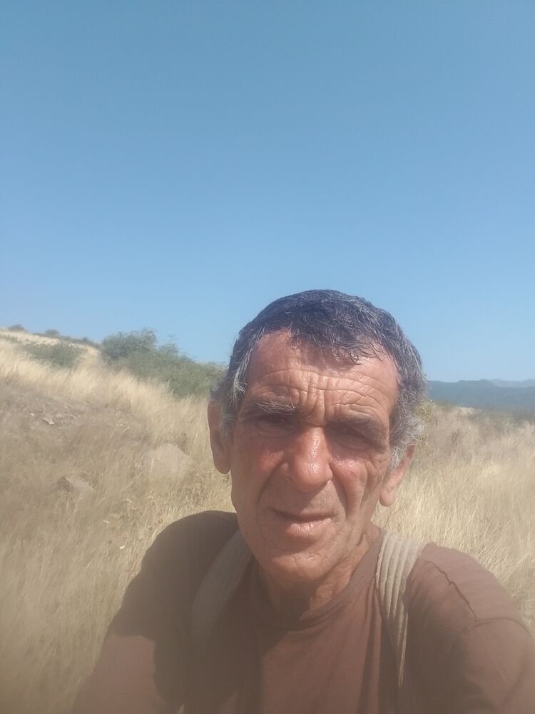  36847957  , 59 ,    