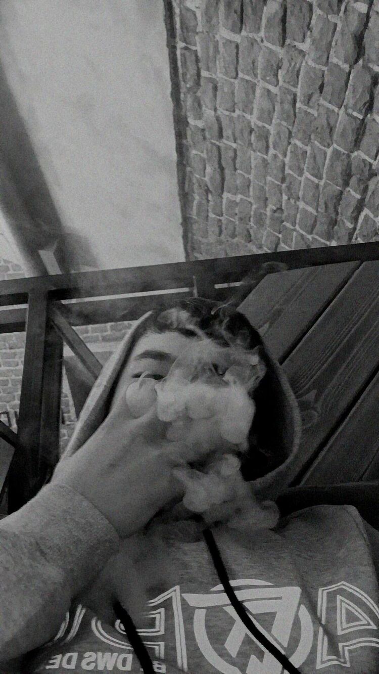  33021387  , 22 ,    