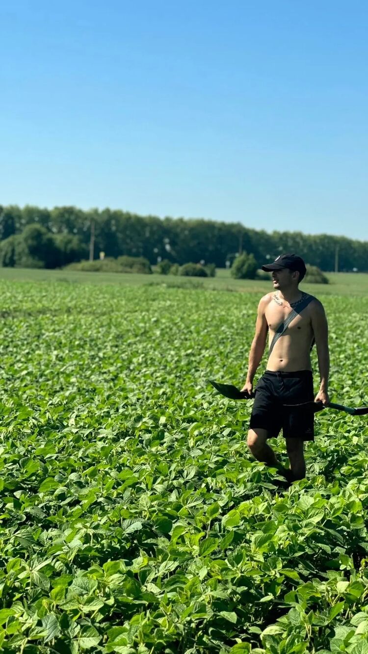 ���������� ������, ���� ������� �������, 29 ���, ������������ ��� ������, ����� � ���������, c�������� ���������