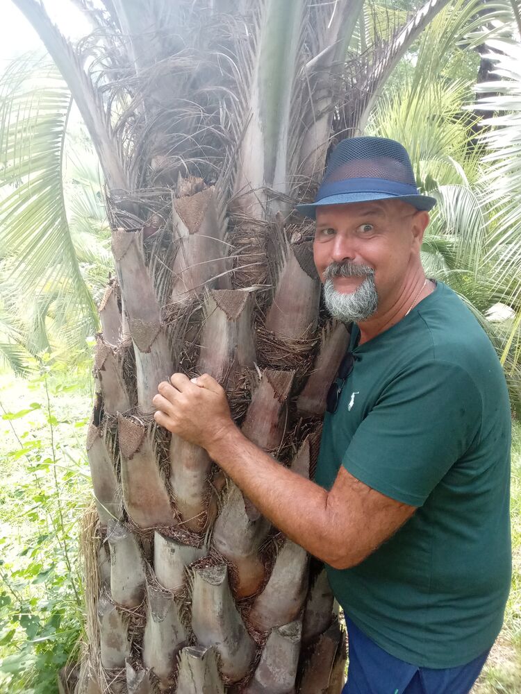 ���������� �����-���������, ���� ������� �����, 56 ���, ������������ ��� ������, ����� � ���������