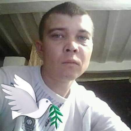  29992197  , 40 ,    