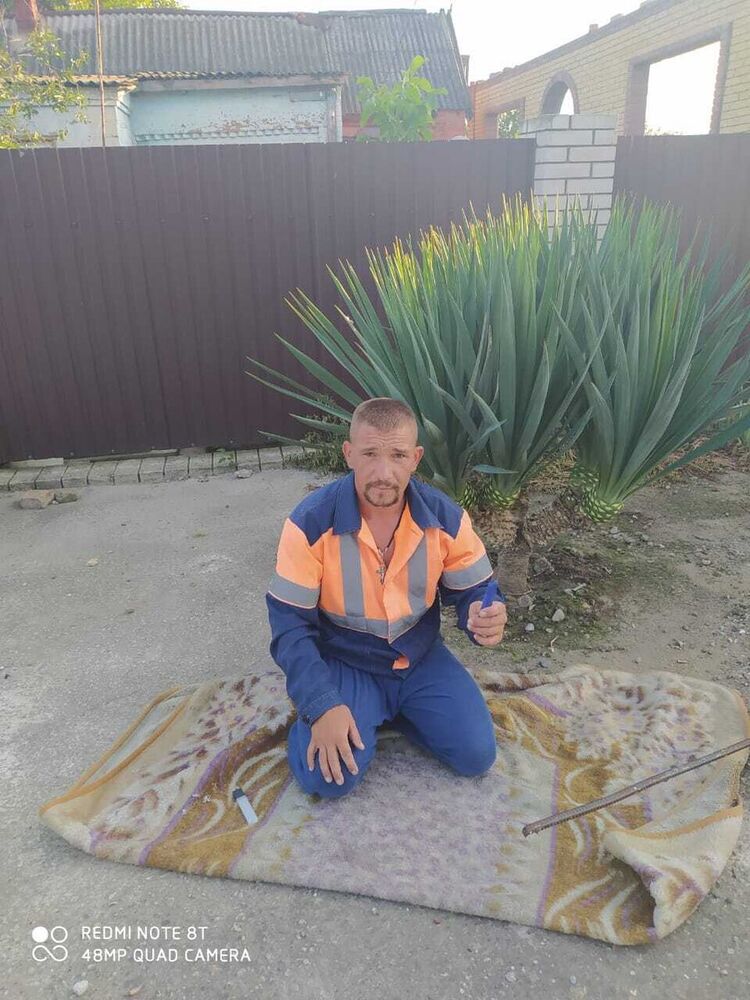 ���� 22550847 ������� �������, 42 ����, ���� ���������� � ���������