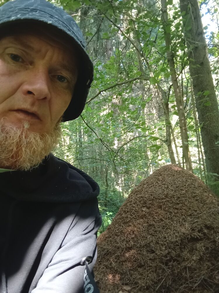 ���������� ������, ���� ������� ����, 44 ����, ������������ ��� ������