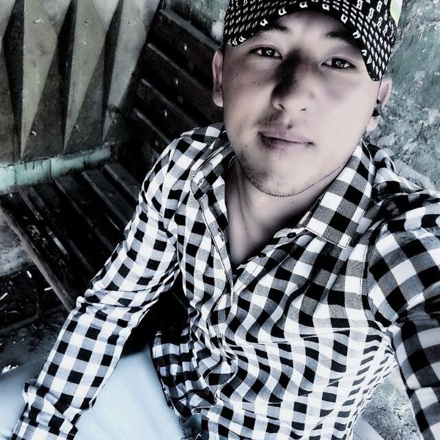  35206327  , 29 ,    