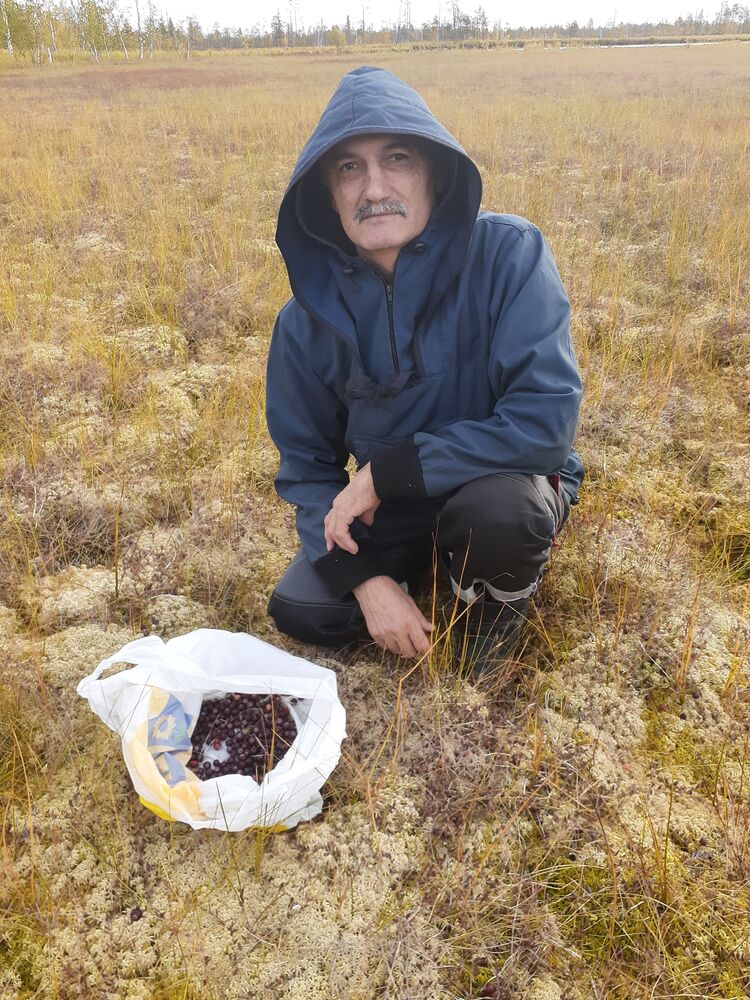 ���� 54846067 ������� ����, 62 ����, ���� ���������� � ���