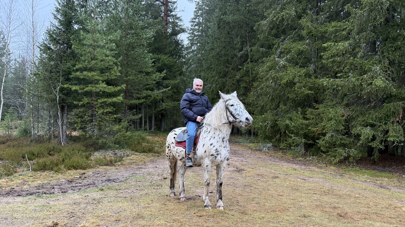 ���� 54746297 ������� �������, 48 ���, ���� ���������� � �����-����������