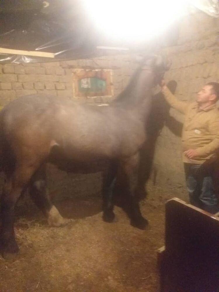 ���������� �����-���������, ���� ������� ����, 41 ���, ������������ ��� ������, ����� � ���������, c�������� ���������, ���������