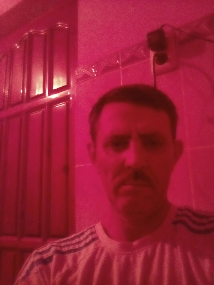 ���� 8363787 ������� Cerq, 60 ���, ���� ���������� � ����������