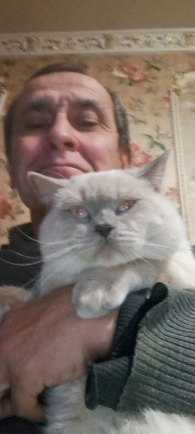 ���������� �������, ���� ������� ����, 54 ����, ������������ ��� ������, ����� � ���������