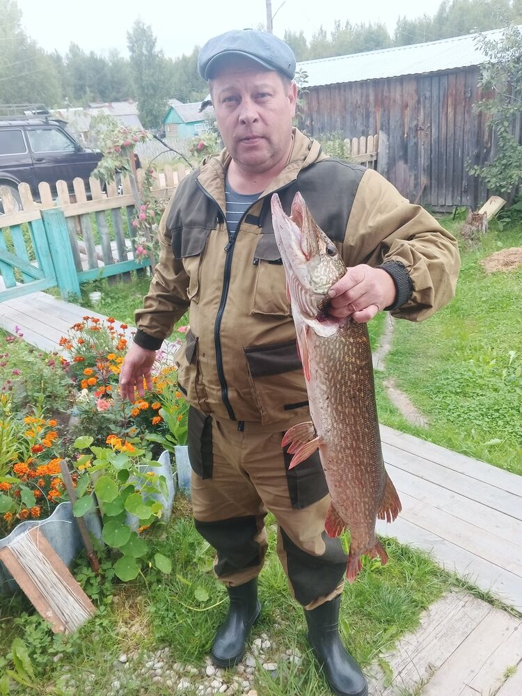 ���������� �����������, ���� ������� �������, 44 ����, ������������ ��� ������, ����� � ���������