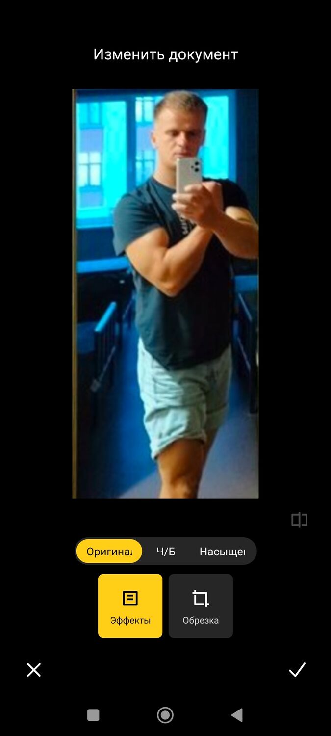  39036377  , 32 ,    