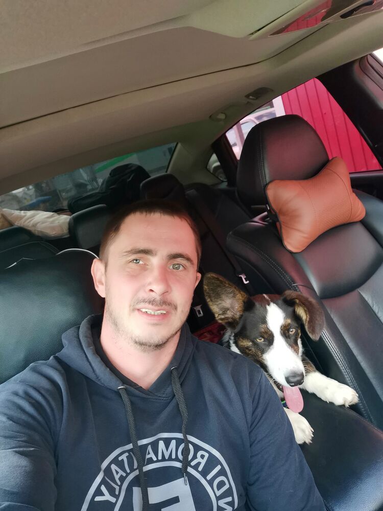 ���� 33626837 ������� �����, 36 ���, ���� ���������� � ������