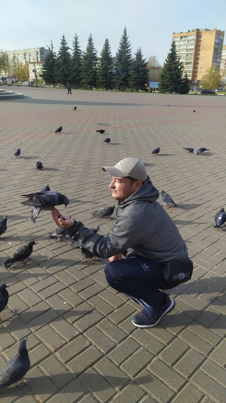 ���������� ���������, ���� ������� Ulmas, 37 ���, ������������ ��� ������, ����� � ���������