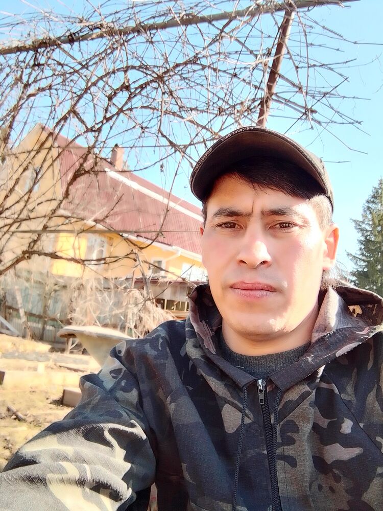 ���� 26009087 ������� ������, 36 ���, ���� ���������� � ������