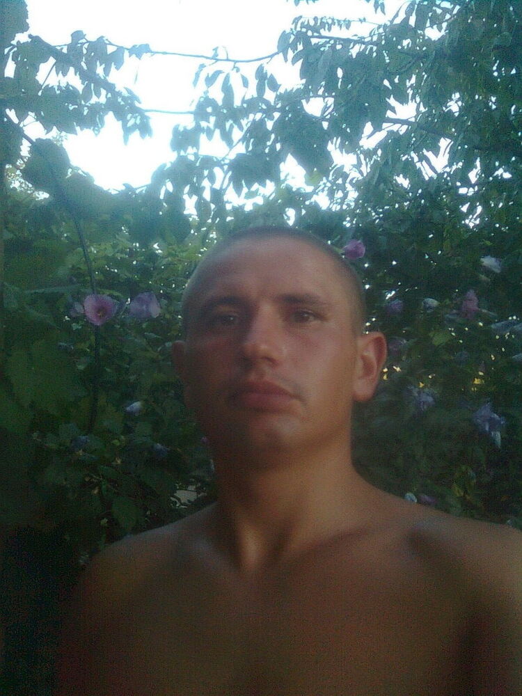 ���� 13064157 ������� ����, 34 ����, ���� ���������� � �������