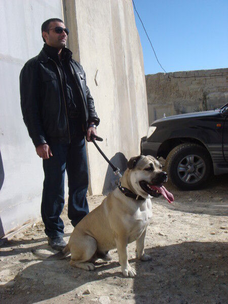  ,   Fazil, 54 ,   
