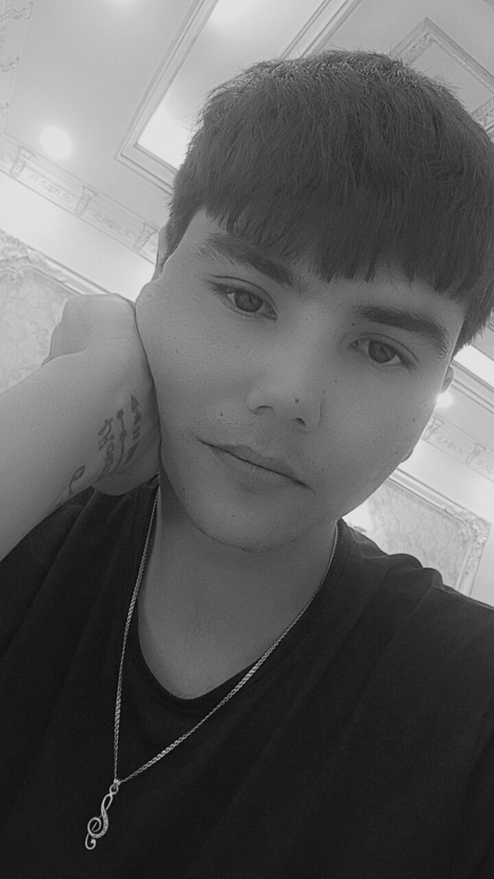  48613547  , 29 ,    