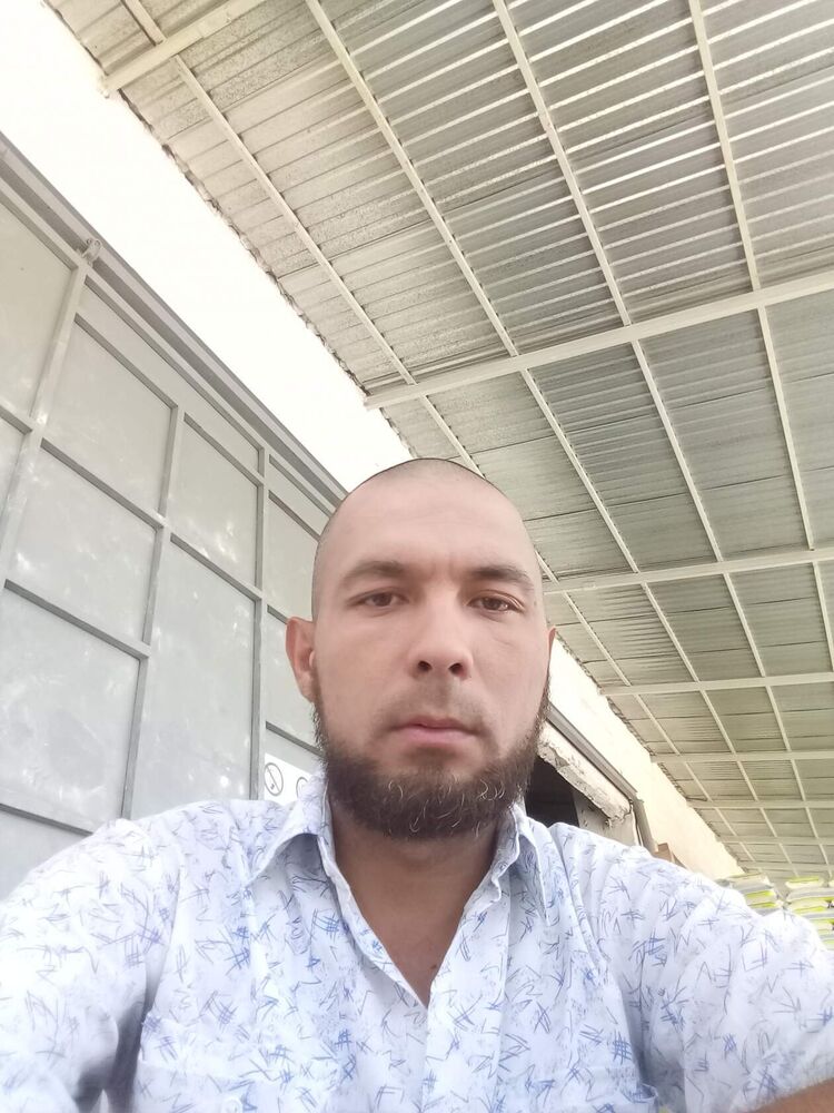 ���������� �������, ���� ������� �����, 41 ���, ������������ ��� ������, ����� � ���������