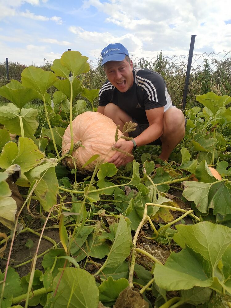 ���������� ������ ��������, ���� ������� �������, 42 ����, ������������ ��� c�������� ���������