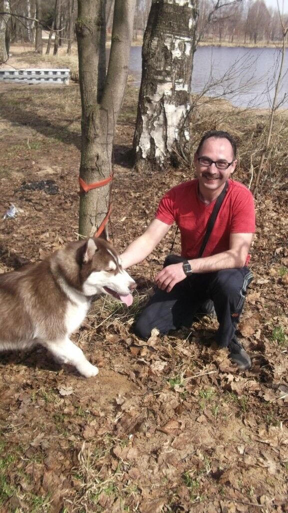 ���������� ������, ���� ������� ���������, 53 ����, ������������ ��� ������, ����� � ���������, c�������� ���������