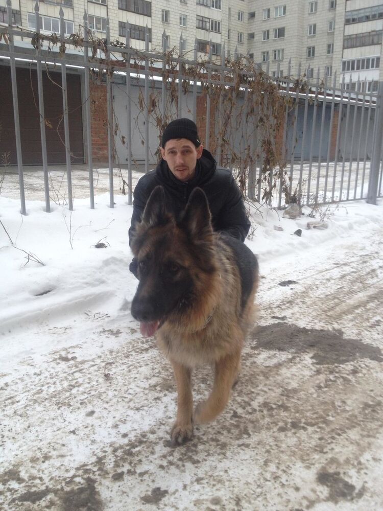 ���� 18334317 ������� ��������, 36 ���, ���� ���������� � �������������