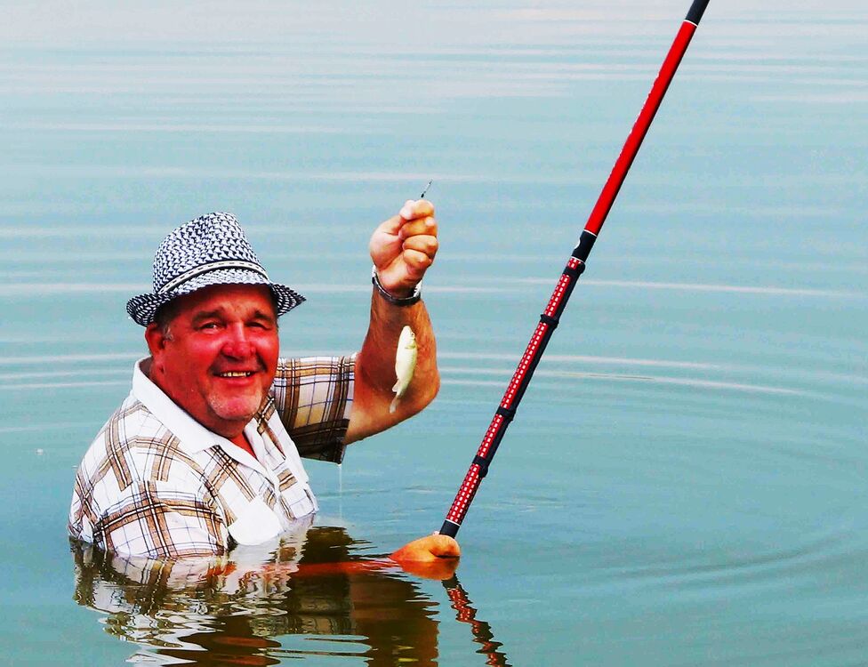 ���� 54963047 ������� ����, 68 ���, ���� ���������� � �����������