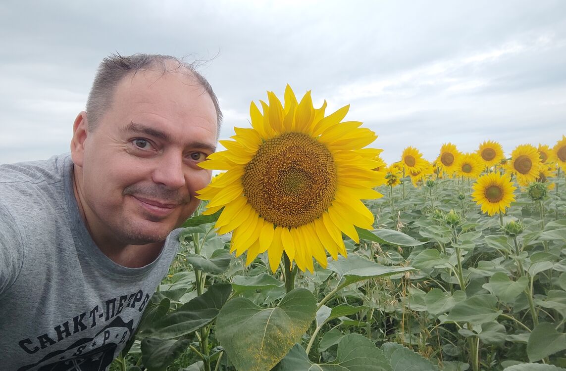 ���������� ���������, ���� ������� ���������, 48 ���, ������������ ��� ������, ����� � ���������, c�������� ���������