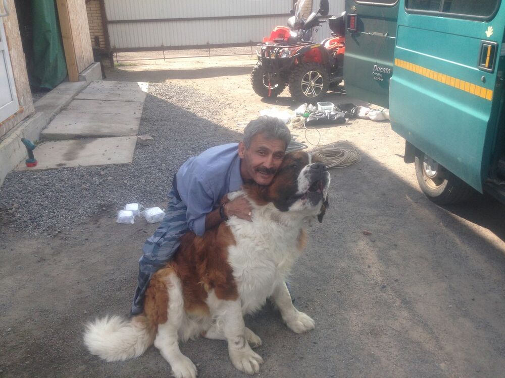 ���� 18628197 ������� �������, 60 ���, ���� ���������� � �����-����������