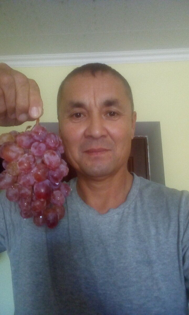  14336867  , 54 ,    
