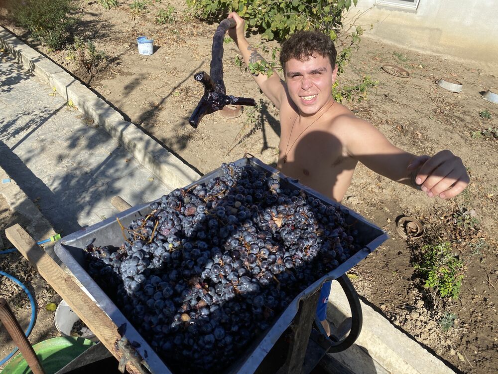 ���������� �������, ���� ����� Iacob, 23 ����, ������������ ��� ������, ����� � ���������