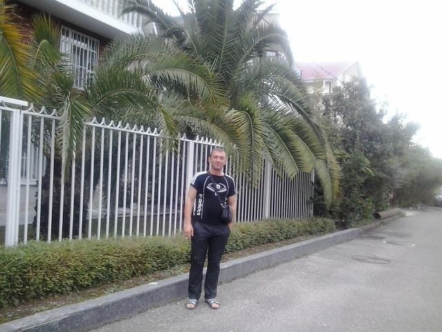  ,   , 51 ,   