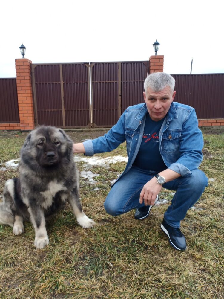 ���������� ������, ���� ������� ������, 55 ���, ������������ ��� ������, ����� � ���������, c�������� ���������