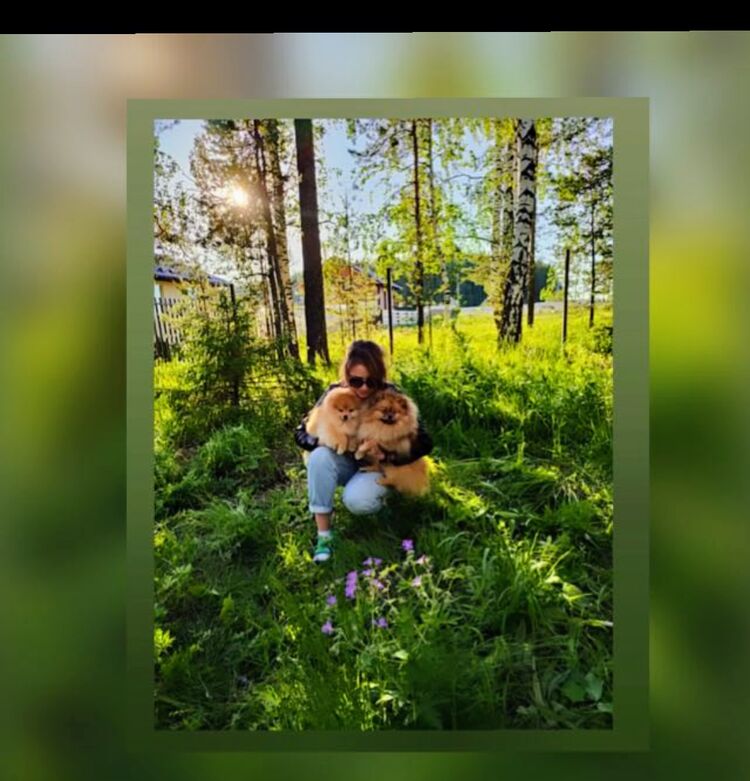 ���������� ������������, ���� ������� ������, 25 ���, ������������ ��� ������, ����� � ���������, c�������� ���������