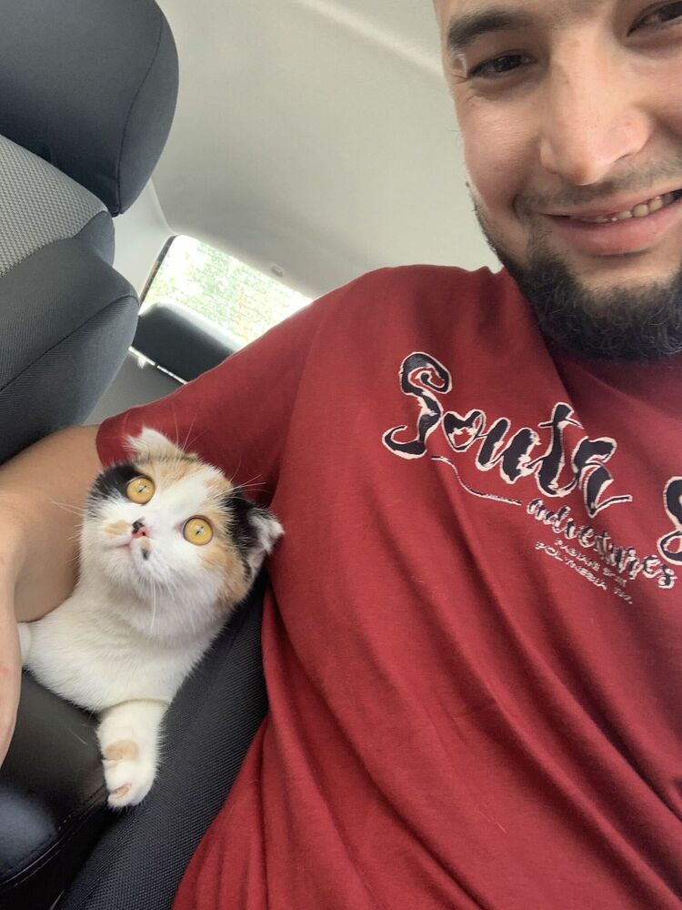  31858047  , 28 ,    -