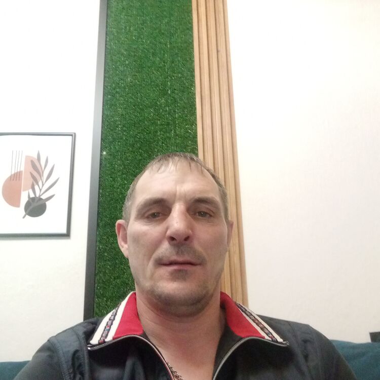  49531537  , 41 ,    
